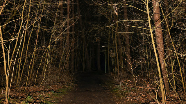 Narrative Strategy – The steep career of the narrative